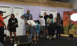 13th Annual B.O.N.E.S. Beagle Bash - Livin' the Beagle Life!