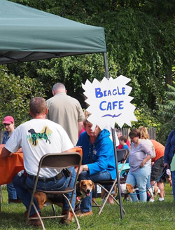 13th Annual B.O.N.E.S. Beagle Bash - Livin' the Beagle Life!