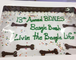 13th Annual B.O.N.E.S. Beagle Bash - Livin' the Beagle Life!