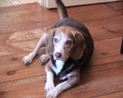 Mickey and Kathy Webbert