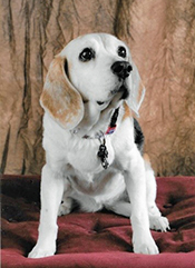 Chloe Isabelle Eckstein