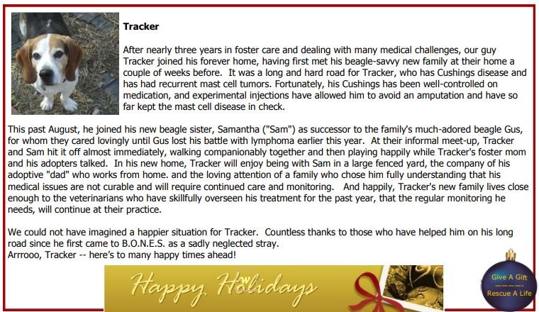 Tracker's original adoption announcement